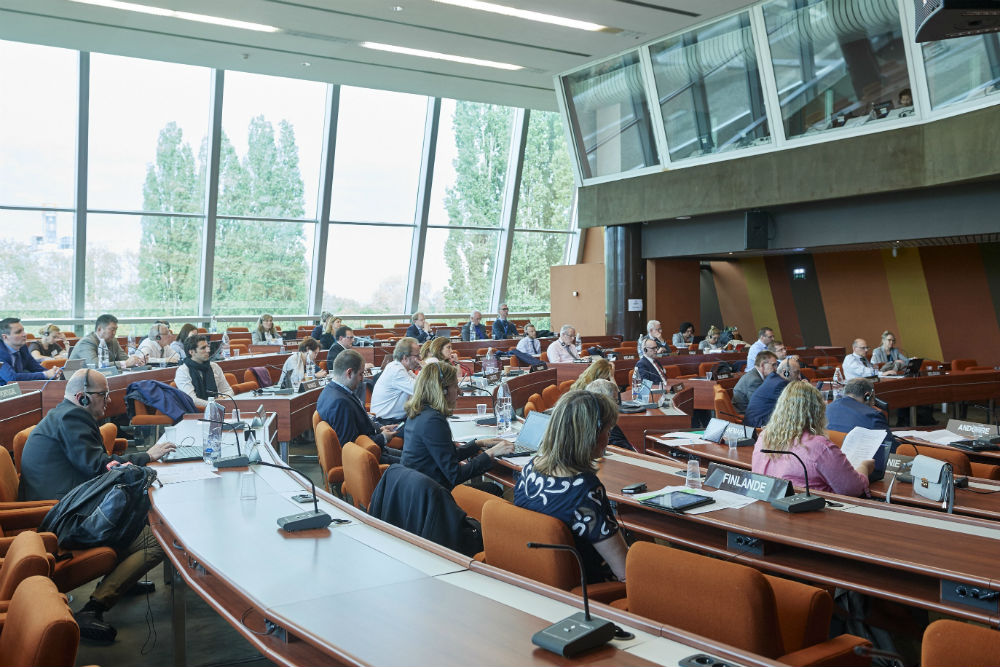 Il 12 aprile audizione sul Diritto alla Conoscenza al Consiglio d’Europa